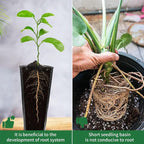 20 Pcs Plastic Deep Nursery Pots - Image 5