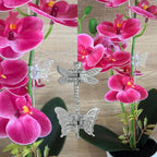30Pcs Acrylic Plant Stakes Garden Single Stem Plant Support Stakes Clear Orchid - Image 5