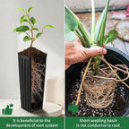 20 Pcs Plastic Deep Nursery Pots, 9.8" Tall Tree Pots, Tall Nursery Tree Pots - Image 5
