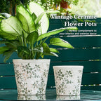 Ceramic Planter Without Drainage Hole, 6.7 Inch - Image 3