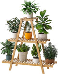 Bamboo Plant Stand by Furshus