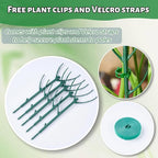10 Pack Adjustable Plant Support Stakes, Stackable Plant Support Pole - Image 8