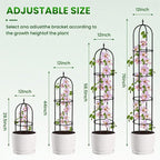 Garden Obelisk Trellis for Climbing Plants - Image 3