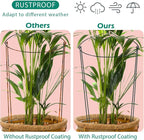 32 inch Plant Support Stakes, 10 Pack Half Round Metal Garden Plant Stake - Image 7