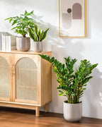 vancasso 6+8+10 inches Ceramic Plant Pots, Planters - Image 8