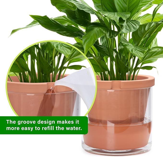D'vine Dev 10 Inch Design Self Watering Pot - Image 6