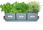 volila Herb Planter Indoor - Image 9