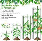 Riare 8 Pack 5.2 FT Tomato Cages - Image 3