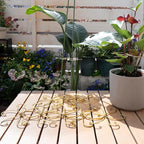 Durable Monstera Plant Support Hooks 5.5in - Image 7