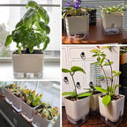Planterhoma Self Watering Plant Pots - Image 7