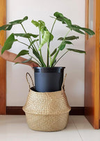 5 Gallon 6-Pack Large Plant Pots Nursery Tree Pot Plastic Planters - Image 5