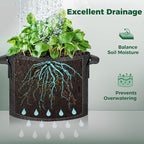 T4U 25 Gallon Grow Bags, Upgrade Grow Bags - Image 7