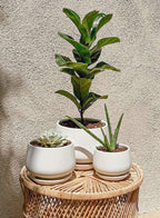 LE TAUCI Ceramic Plant Pots, 4.1+5.1+6.5 inch, Planters - Image 3