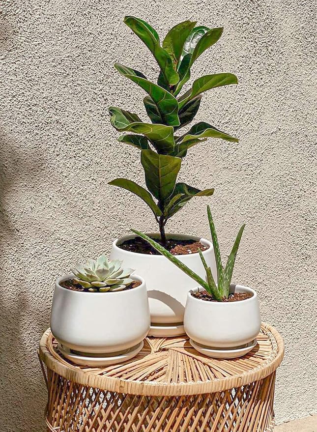 LE TAUCI Ceramic Plant Pots, 4.1+5.1+6.5 inch, Planters - Image 3