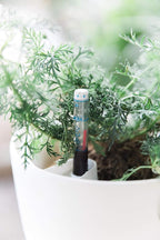 GARDENIX DECOR Self Watering Pots - Image 8