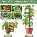 Halatool 2 Pack Tomato Cages for Garden, Garden Stakes Tomato Trellis for Pots - Image 6