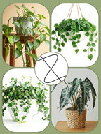 4 Pack Small Wavy Trellis for Potted Plants Indoor, 15 in Garden Trellis for - Image 6