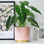 Gepege Pink Indoor Plant Pots for Plants, Large Ceramic Planter - Image 8