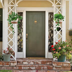 Hanging Planters for Indoor Plants - Image 6