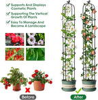 6.2ft Garden Obelisk Trellis for Climbing Plants Rustproof Metal Pipe - Image 3