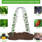 Lalahoni Cucumber Trellis, - Image 3