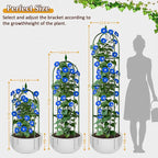 Garden Trellis for Climbing Plants, Tomato Cage, Cucumber Trellis, Rustproof - Image 7