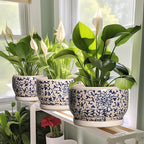 SQOWL 10 Inch Plant Pot Indoor - Image 6