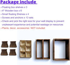 LaLaGreen Wall Planters for Indoor Plants Small Wall-Mounted Vertical Plant - Image 2