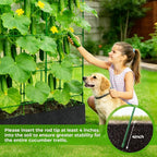 Large Cucumber Trellis for Climbing Plants Outdoor - Image 7
