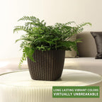 Dexceder 9x8 Self Watering Planter Indoor Outdoor, Inner Mat Design, Thickened - Image 6