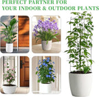 32 Inch Metal Plant Trellis for Climbing Plants Outdoor，4 Pack Garden Trellis - Image 3