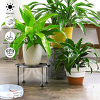 Garden Gifts Plant Lovers Gifts Black Metal Plant Stand - Image 2