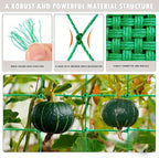 Trellis Netting for Climbing Plants - Image 2