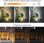 CLY Solar Landscape Spotlights, Solar Landscape Lights Outdoor IP66 Waterproof - Image 4