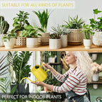 Watering Can Indoor Plants, 35oz Small Stainless Steel Metal Watering Can - Image 5