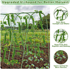 Cucumber Trellis for Raised Bed, Garden Arch Trellis for Climbing Plants Outdoor - Image 4
