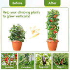 Riare 8 Pack 4 FT Tomato Cages for Garden- 48inches Heavy Duty Garden Stakes - Image 6