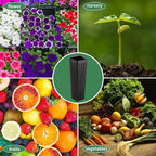 50 Pcs Plastic Deep Nursery Treepots, 9.8" Tall Nursery Tree Pots, Flower Plant - Image 6