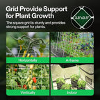 VIVOSUN 5 x 15 ft. Plant Trellis Netting, Heavy-Duty Polyester Grow Net - Image 4