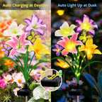 Solar Garden Lights 6 Pack LEDs Solar Lilies Flower Lights, Yard Patio Pathway - Image 3
