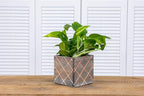 Wood Planter Box with Diamond Cross Hatch Style, 5 Inch Square, Rustic Barn Wood - Image 7