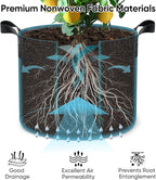 Grow Bags for Potato 5-Gallon: 10 Pack Black 350G Heavy Duty Thickened Fabric - Image 5