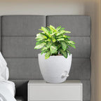 12 inch Large Self Watering Pots, Plant Pots - Image 7