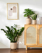 vancasso 6+8+10 inches Ceramic Plant Pots, Planters - Image 7