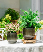Melphoe Self Watering Pots for Indoor Plants Planter, 6.5/5.3 Inch 2 Pack - Image 3