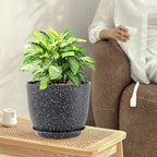 Large Flower Pots 12/10/9 inch, Plant Pots - Image 2