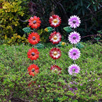 Set of 3 Solar Garden Lights, 22.6'' H Flowers Decorative Garden Stakes - Image 5