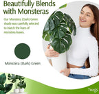 Stackable Monstera Plant Support Stakes, Climbing Support - Image 5