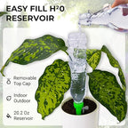 Self Watering Planter Insert Drip Spike High Capacity 20oz BabaBerry Dynamic - Image 2
