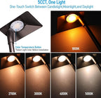 LEONLITE 12 Pack 5CCT Low Voltage Landscape Lights, 5W Anti-Glare LED Pathway - Image 3